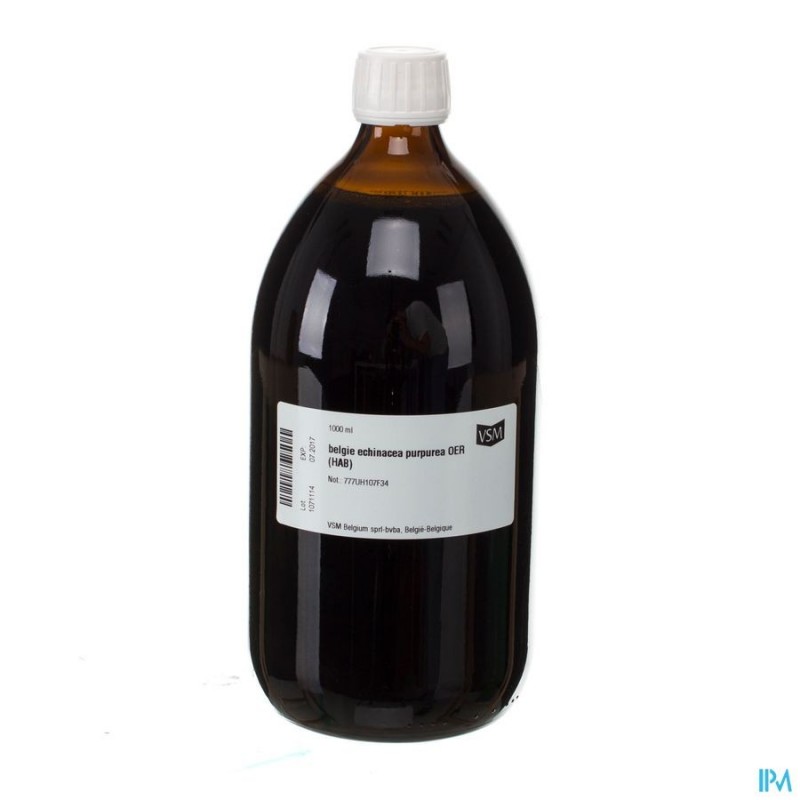 echinacea-purpurea-moedertictuur-1-liter echinacea-purpurea-moedertictuur-1-liter